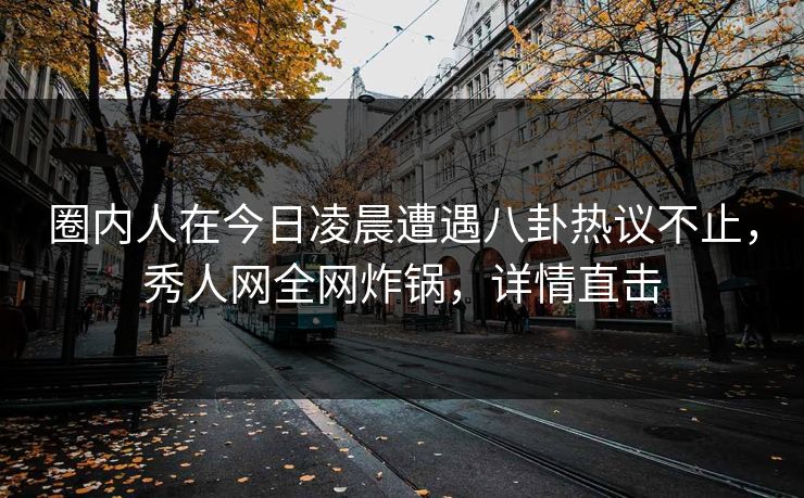 圈内人在今日凌晨遭遇八卦热议不止，秀人网全网炸锅，详情直击